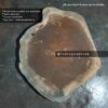 indiawoodslab, live edge wood slab, Live edge tables, Natural live edge tables