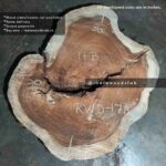 indiawoodslab, live edge wood slab, Live edge tables, Natural live edge tables