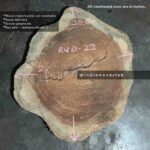 indiawoodslab, live edge wood slab, Live edge tables, Natural live edge tables