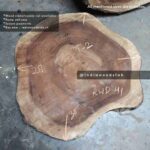 indiawoodslab, live edge wood slab, Live edge tables, Natural live edge tables