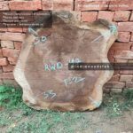 Live edge cookie wood slab