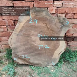 Live edge cookie wood slab in india