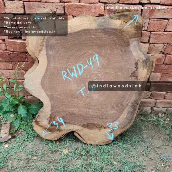 Live edge cookie wood slab in india