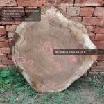 Live edge cookie wood slab in india