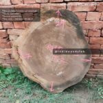 Live edge cookie wood slab in india