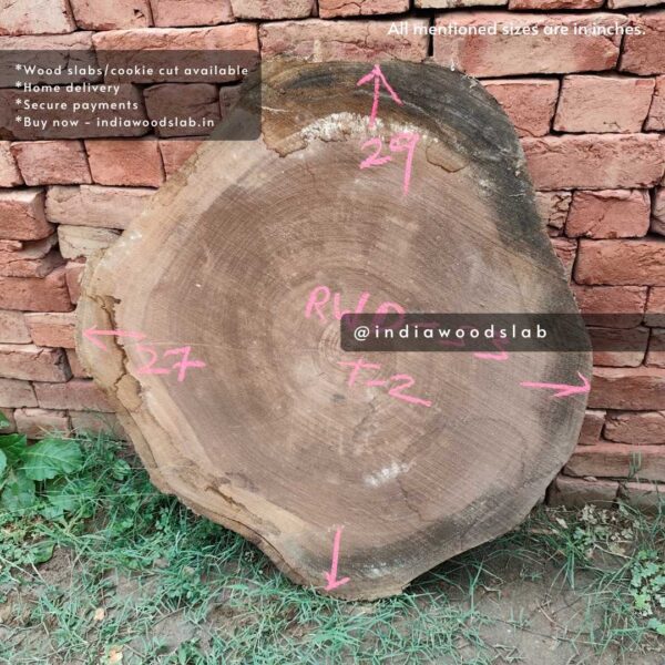 Live edge cookie wood slab in india