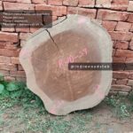Live edge cookie wood slab in india