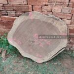 Live edge cookie wood slab in india