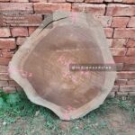 Live edge cookie wood slab in india