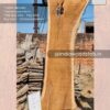 Live edge wood slabs in India. @indiawoodslab +91 9528956167
