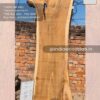 Live edge wood slabs in India. @indiawoodslab +91 9528956167