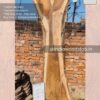 Live edge wood slabs in India. @indiawoodslab +91 9528956167
