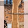 Live edge wood slabs in India. @indiawoodslab +91 9528956167