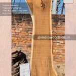 Live edge wood slabs in India. @indiawoodslab +91 9528956167
