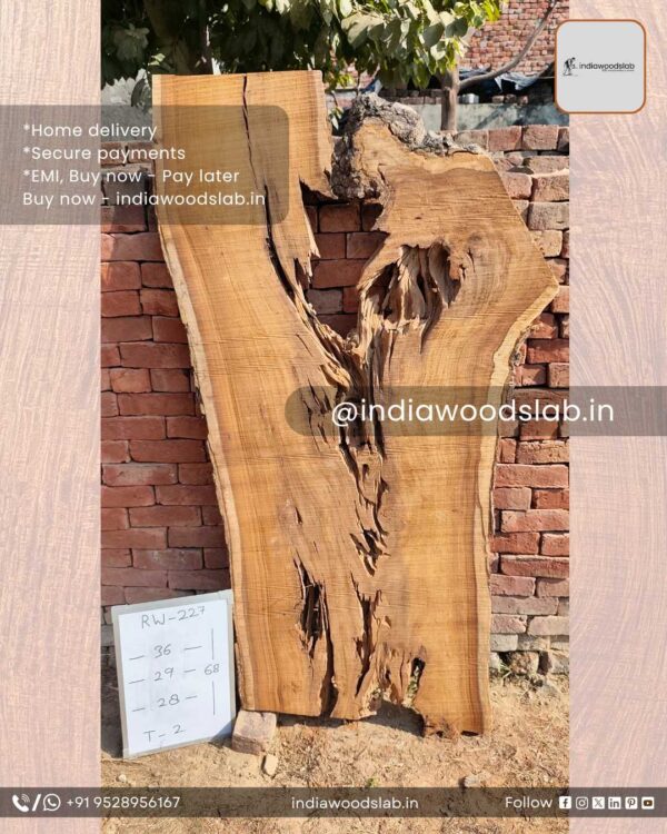 Live edge wood slabs in India. @indiawoodslab +91 9528956167
