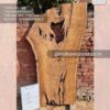 Live edge wood slabs in India. @indiawoodslab +91 9528956167