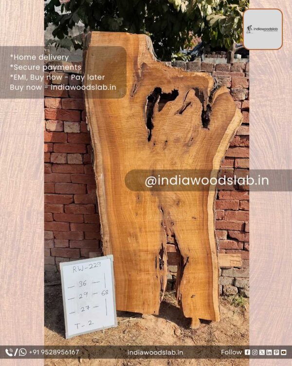 Live edge wood slabs in India. @indiawoodslab +91 9528956167