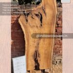 Live edge wood slabs in India. @indiawoodslab +91 9528956167
