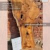 Live edge wood slabs in India. @indiawoodslab +91 9528956167