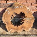 Live edge wood slabs in India. @indiawoodslab +91 9528956167