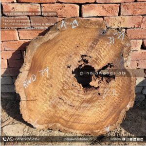 Live edge wood slabs in India. @indiawoodslab +91 9528956167