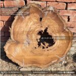 Live edge wood slabs in India. @indiawoodslab +91 9528956167