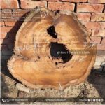 Live edge wood slabs in India. @indiawoodslab +91 9528956167