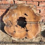 Live edge wood slabs in India. @indiawoodslab +91 9528956167