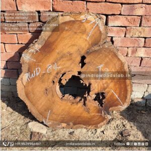 Live edge wood slabs in India. @indiawoodslab +91 9528956167