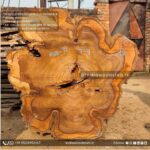 Live edge wood slabs in India. @indiawoodslab +91 9528956167