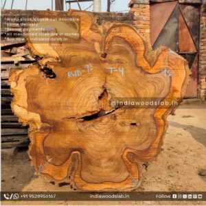 Live edge wood slabs in India. @indiawoodslab +91 9528956167