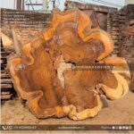 Live edge wood slabs in India. @indiawoodslab +91 9528956167