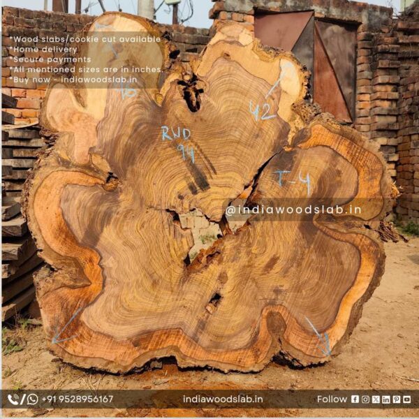 Live edge wood slabs in India. @indiawoodslab +91 9528956167