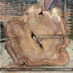 Live edge wood slabs in India. @indiawoodslab +91 9528956167