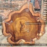 Live edge wood slabs in India. @indiawoodslab +91 9528956167