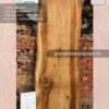 Live edge wood slabs in India. @indiawoodslab +91 9528956167