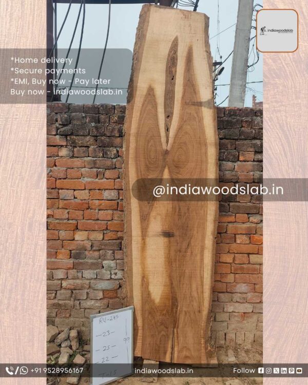 Live edge wood slabs in India. @indiawoodslab +91 9528956167