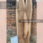 Live edge wood slabs in India. @indiawoodslab +91 9528956167