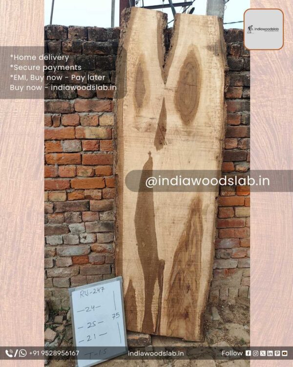 Live edge wood slabs in India. @indiawoodslab +91 9528956167