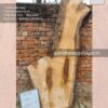 Live edge wood slabs in India. @indiawoodslab +91 9528956167