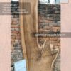 Live edge wood slabs in India. @indiawoodslab +91 9528956167