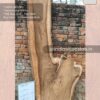 Live edge wood slabs in India. @indiawoodslab +91 9528956167