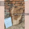 Live edge wood slabs in India. @indiawoodslab +91 9528956167