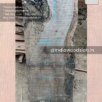 Live edge wood slabs in India. @indiawoodslab +91 9528956167