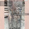 Live edge wood slabs in India. @indiawoodslab +91 9528956167