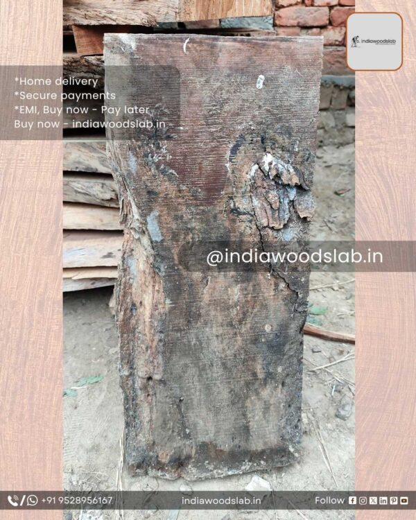 Live edge wood slabs in India. @indiawoodslab +91 9528956167