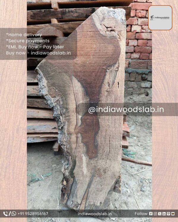 Live edge wood slabs in India. @indiawoodslab +91 9528956167