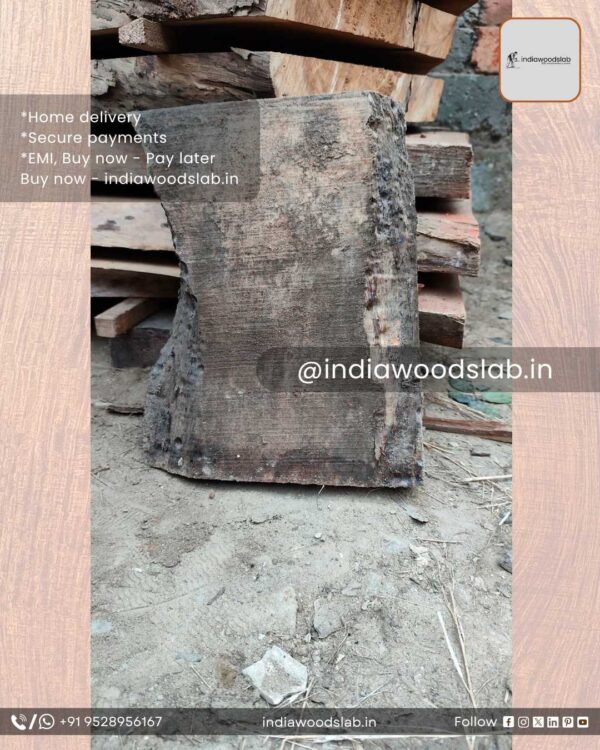 Live edge wood slabs in India. @indiawoodslab +91 9528956167