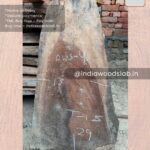 Live edge wood slabs in India. @indiawoodslab +91 9528956167