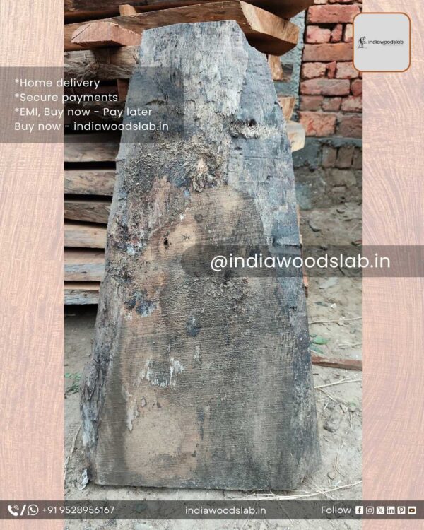 Live edge wood slabs in India. @indiawoodslab +91 9528956167